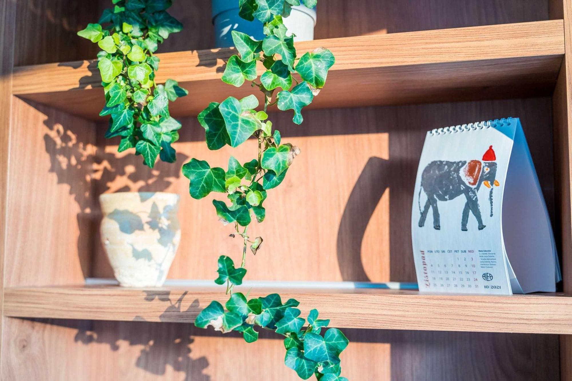 Apartment La Fiore Dubrownik Zewnętrze zdjęcie
